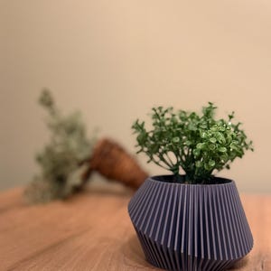 May include: A small, dark grey, geometric planter with a plant with green leaves. The planter has a unique, pleated design.
