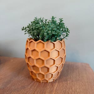 Op de afbeelding: Een perzik-kleurige bloempot met honingraatpatroon met een kleine, groene plant. De pot is gemaakt van een hard materiaal en staat op een houten oppervlak. De plant heeft kleine, ronde bladeren.