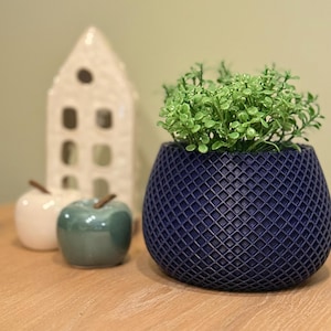 Puede incluir: Una maceta azul oscuro con un patrón geométrico, llena de una planta verde de hojas. La maceta está sobre una superficie de madera.
