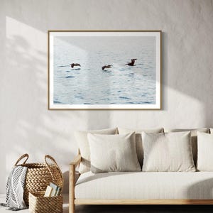 Ocean birds print, pelican print, birds flying, ocean print, wall art, wall decor, printable image, sea birds, calm ocean, coastal birds