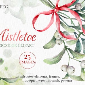 Clipart de aquarela de visco. Conjunto digital de Natal. Elementos de visco de Natal. Buquê de visco.