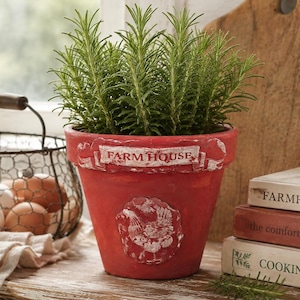 May include: A red terracotta plant pot containing a green rosemary plant. The pot features a white banner with the text FARM HOUSE and a circular relief of a chicken. The pot is positioned next to a wire basket of eggs and three stacked books.