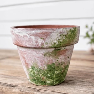 May include: A terracotta plant pot featuring a weathered finish with patches of white paint and green moss-like texture. The pot has a wide, flared rim and a tapered body, showcasing a rustic, aged appearance with visible clay tones throughout.