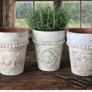 May include: Three distressed white ceramic flower pots with embossed designs and a rosemary plant. The pots have a textured finish and a decorative beaded trim. A ball of twine and scissors are on the wooden surface.