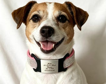 Individuell gestaltetes Hundehalsband mit Strasssteinen, personalisiertes Design aus veganem Leder