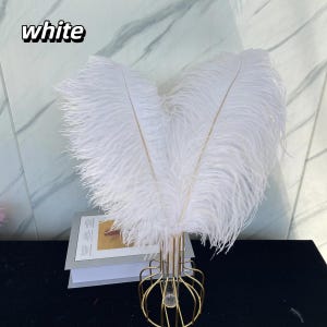 Natural ostrich feather 16 colors 100pcs/pack Bulk DIY Wedding Decor lighting decoration vase arrangement table arrangement