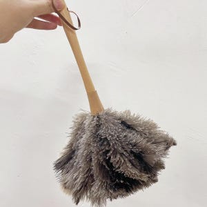Könnte beinhalten: Ein Staubwedel mit Holzgriff und Aufhängeschlaufe. Der Staubwedelkopf besteht aus weichen, grauen Federn. Der Griff ist hellbraun und die Schlaufe ist dunkler braun.