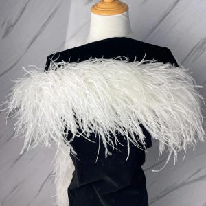 以下が含まれることがあります： 黒いベルベットの衣服に、ふわふわの白い羽毛のボアが飾られています。 羽毛は長く柔らかく、ドラマチックでエレガントな外観を作り出しています。 ボアは肩にかけられ、贅沢さを添えています。
