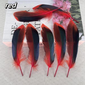 May include: Several decorative feathers with a striking color scheme. The feathers are primarily red with black and green accents. The word "red" is written in the upper left corner. The feathers are arranged on a light-colored surface.