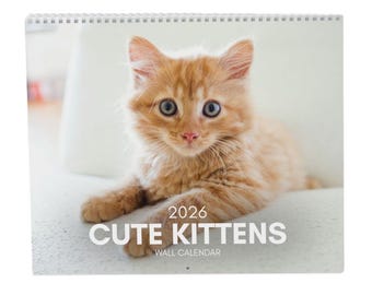 2026 Kitten Wall Calendar: Adorable Cat Lover Gift