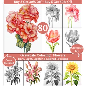 Peut inclure: Illustrations de fleurs pour coloriage en niveaux de gris. L'image présente diverses fleurs en couleur et en niveaux de gris, dont des lys, des tulipes et des tournesols. Le texte indique "Coloriage en niveaux de gris : Fleurs" et "Couverture incluse".