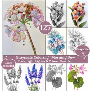 May include: A collection of floral grayscale coloring pages, including images of lavender, geraniums, and other flowers. The cover includes the text "Grayscale Coloring: Morning Dew" and "Cover Included". The number "127" is in a circle.
