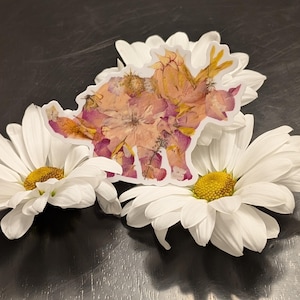 Adesivo Triceratops Blooms - Design Floral Impresso a partir de Arte Original