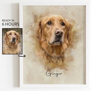 May include: A framed watercolour portrait of a golden retriever dog named Ginger. The artwork features a close-up of the dog's face with a soft, painterly effect. A smaller photo of the dog is in the upper left corner. The text "READY IN 6 HOURS" is in the upper left corner.