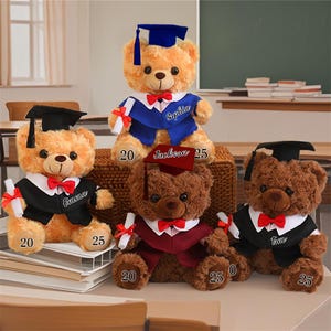 Personalized Graduation Bear 2025, Graduation Teddy Bear with Name, Gifts for Graduates, Plush Bear For Family, Preschool Graduation Gift