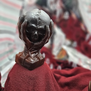 Skull in hands