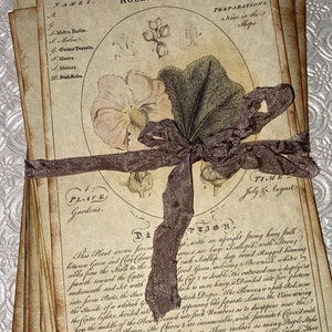 Botanical Ephemera Bundle, vintage inspired, 64lb parchment paper, set of 14