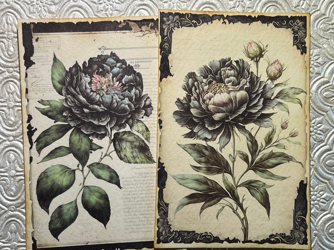 Set of 10, Vintage Inspired Peony Note Cards. Tied up With Green Velvet ...