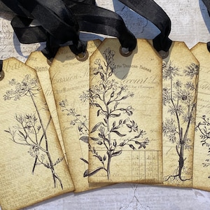 Set of 6 Vintage Inspired Botanical Tags. - Etsy