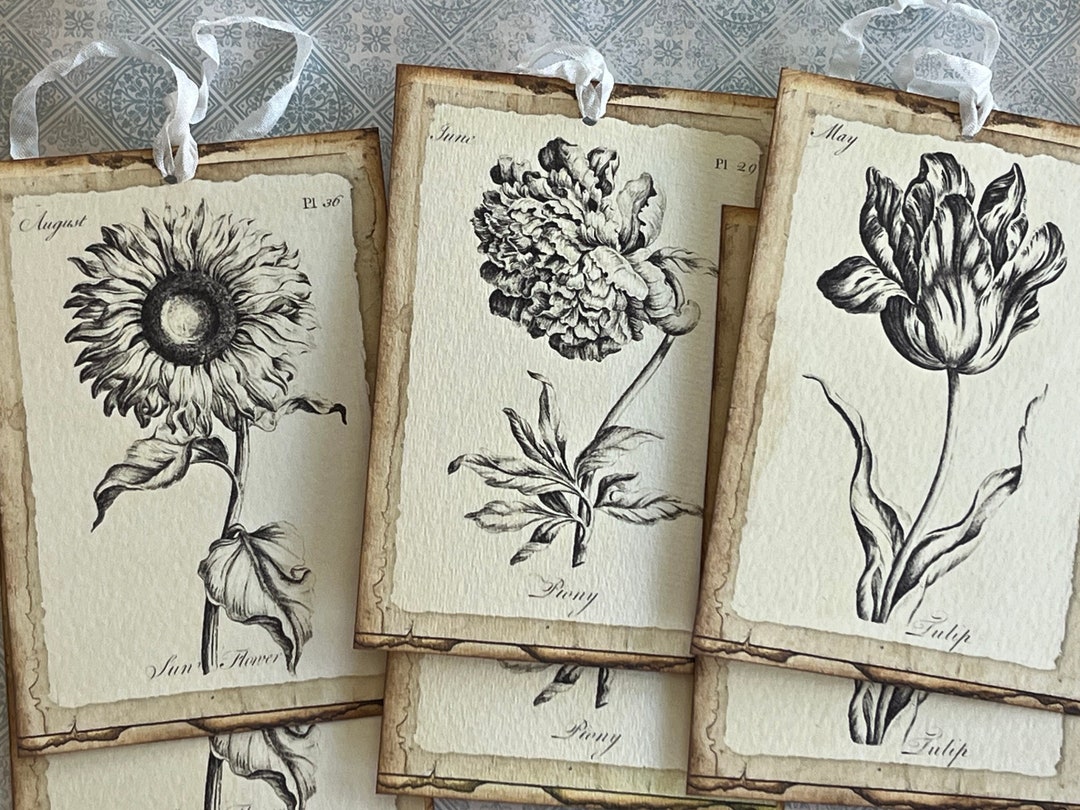 Set of 6 Vintage Inspired Botanical Tags. - Etsy