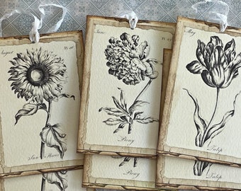 Set of 6 Vintage inspired Botanical tags.