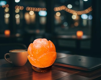 Ball Flower Himalayan Salt Lamp: Handcrafted Pink Rock Salt Decor