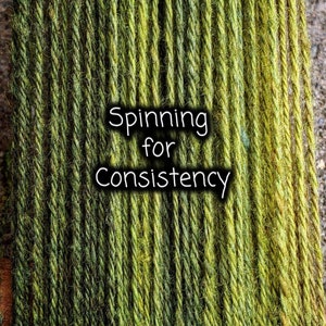 Spinning Workshop - Spinnen lernen - Handspinnen - Spinnkurs : Spinning for Consistency