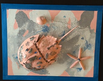本物のカブトガニ - カブトガニの脱皮 - Etsy 日本