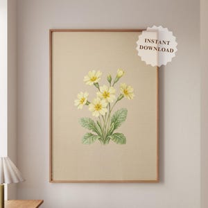 Może przedstawiać: Oprawiony wydruk botaniczny przedstawiający akwarelową ilustrację żółtych pierwiosnków z zielonymi liśćmi. Grafika umieszczona jest na beżowym tle i oznaczona napisem "NATYCHMIASTOWE POBIERANIE". Rama jest w kolorze jasnobrązowym.