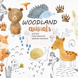 Aquarel bos dieren clipart, kinderkamer kunst, bladeren, paddestoel, voetafdruk, vos, hert, beer, transparante achtergrond.