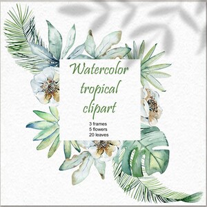 Tropische Blätter in Aquarell Farben, Rahmen, Blumen png.