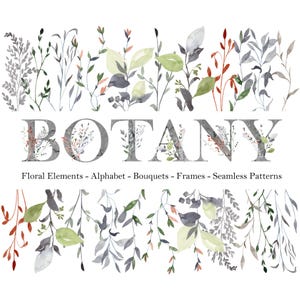 Bundel aquarel botanische clipart, bloemenalfabet, boeketten, lijsten en naadloze patronen, elegant groen png, digitale download.
