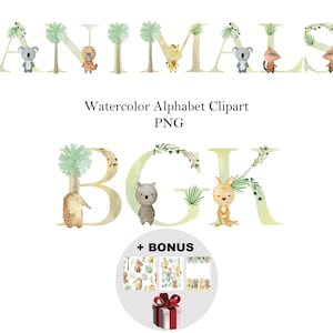 Clipart del alfabeto de animales australianos en acuarela, letras y números con koala, canguro y más para decoración, manualidades y proyectos educativos.