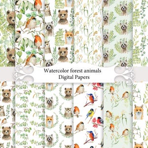 Papiers aquarelle animaux de la forêt, animaux des bois, motifs oiseaux sans couture, hibou, renard, ours, raton laveur.