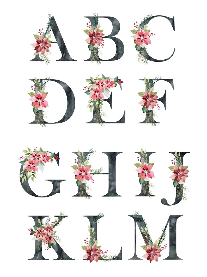 Christmas Poinsettia Alphabet Clipart, Watercolor Black Letters and ...