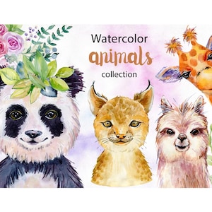 Clipart animaux de safari aquarelle, éléments floraux, png, fond transparent, panda, girafe, lama, lynx roux.