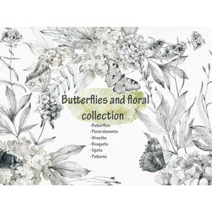 Butterflies and Floral Clipart Collection, Pencil Sketch Botanical Elements, Wreaths, Bouquets, Patterns and Spots, Nature PNG.