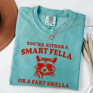 Camiseta retro con dibujo animado ¿Eres un tipo inteligente o hueles a pedos? Comfort Colors®, suéter extraño, camiseta de meme, camiseta de Trash Panda, camisetas de tendencia