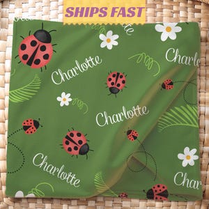 May include: Green blanket featuring a pattern of red ladybugs with black spots, white daisies, and the name "Charlotte" in a cursive font. The blanket has a whimsical, nature-inspired design.