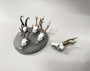 Jagd Hutanstecker, Gämse Hutanstecker, Rehbock, Hirsch, Gämse, Trophäe, Jagdschmuck, Jagdtrophäe, hunting, trophy, deer, Schmuck,