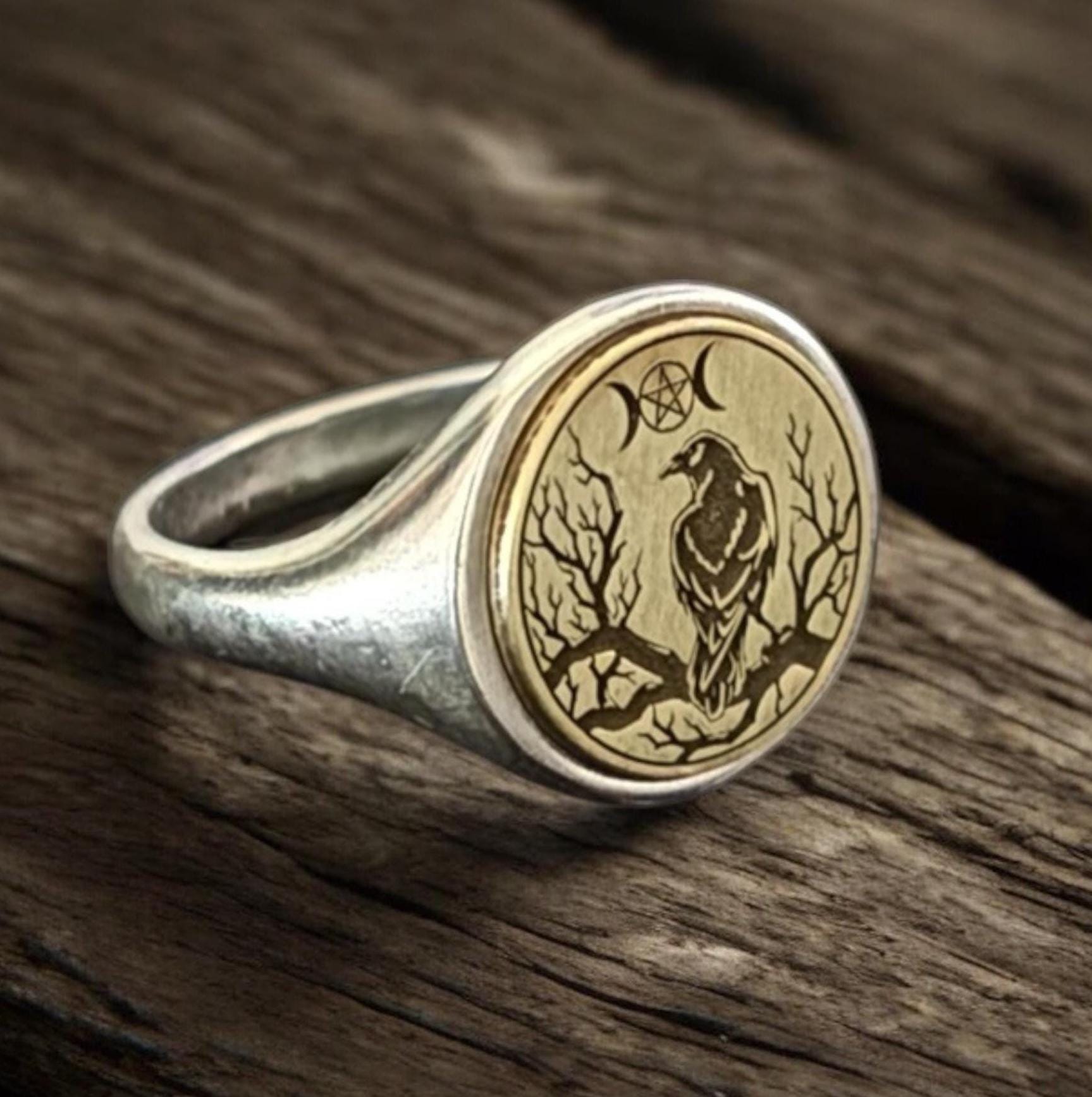 Raven Signet Ring, Crow Silver Pinky Ring, Corvine Gothic Jewelry, Raven Moon Ring, Animal Bird Signet Ring, Signet Ring for Men & Women