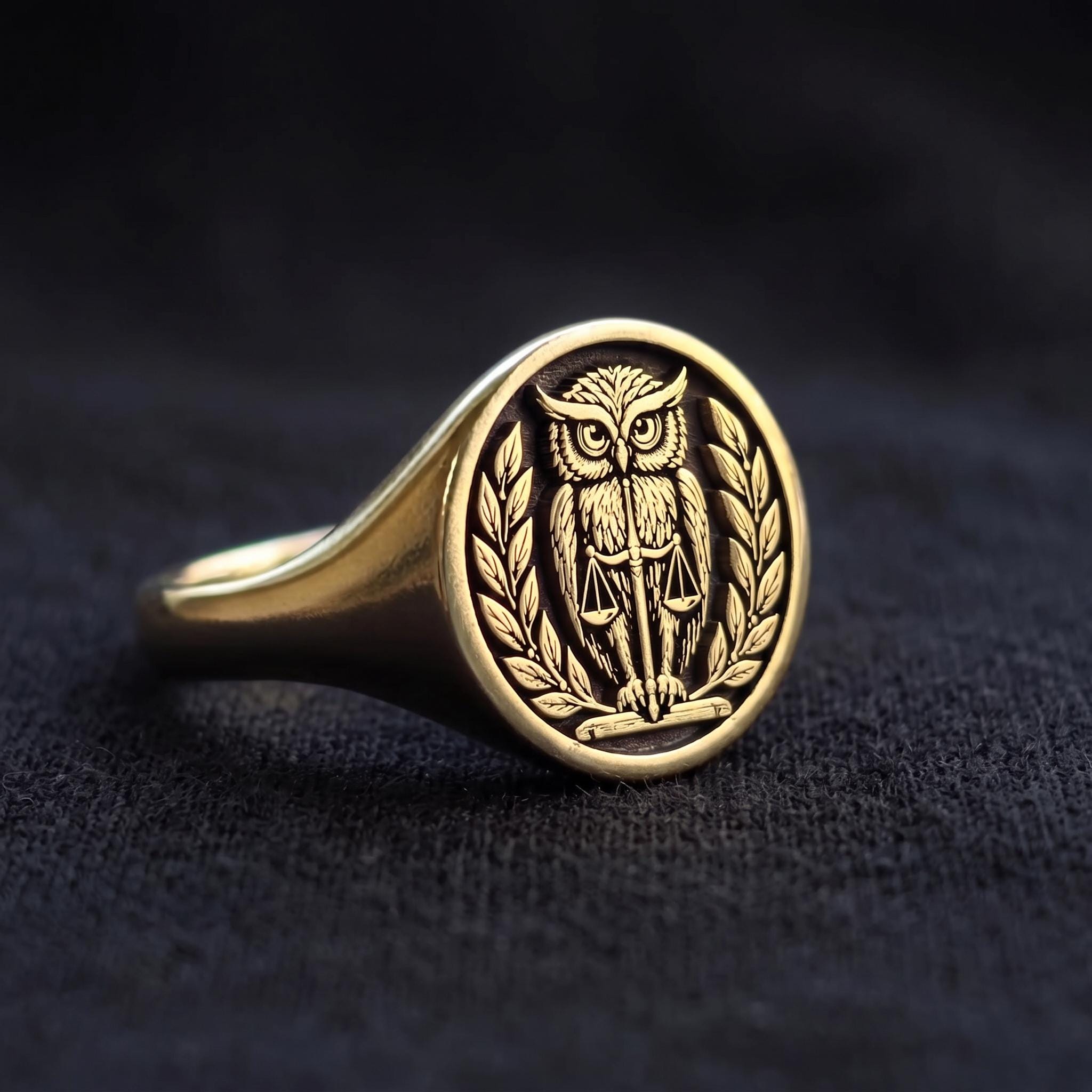 Owl Ring, Silver Raised Wisdom Symbol Signet Ring, Bird Crest Pinky Ring, Medieval Crusader Jewelry,