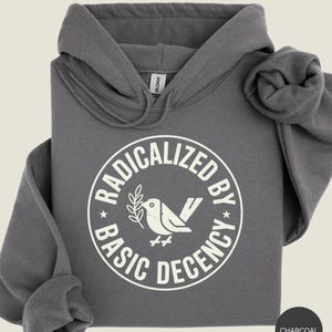 May include: Charcoal gray hoodie with a white circular graphic. The graphic reads "RADICALIZED BY BASIC DECENCY" around a bird holding an olive branch. The hoodie has a drawstring hood and a kangaroo pocket.