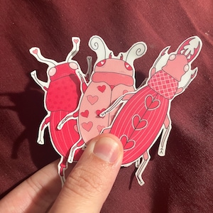 Love Bug Sticker Pack, Fehleraufkleber, Insektenaufkleber, Valentinstagaufkleber, Tieraufkleber, Laptopaufkleber, Wasserflascheaufkleber, Herzaufkleber