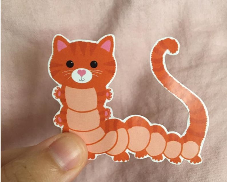 May include: A red and orange cat with a pink nose and a heart-shaped mouth is curled up into a caterpillar shape. The cat's tail is curled around its body.