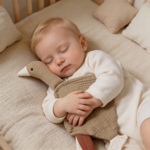 Personalisierte Baby Komfort Decke Plüschtier, Baumwolle Musselin Schwan Lovey, Benutzerdefinierte Name Stickerei, Schlaf Schnuller