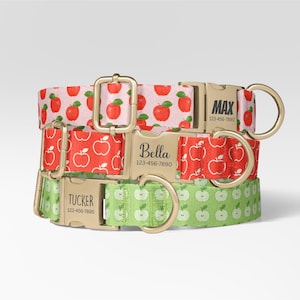 May include: Three stacked pet collars with gold-tone metal buckles and D-rings. The top collar is pink with red apples, the middle is red with white apple outlines, and the bottom is green with white apple outlines. Each buckle is engraved with a name.