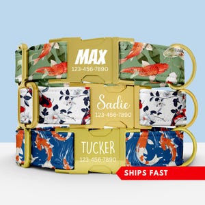 Koi Fish Dog Collar, Personalized Dog Collar With Name, Custom Girl Dog Collars Are Cute, Adjustable, and Heavy Duty, Sizes Small - XLarge