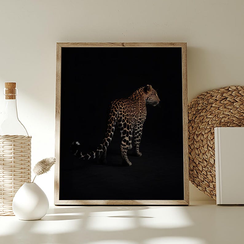 May include: A black and white photograph of a leopard standing in a dark setting. The leopard is facing away from the camera, with its tail curled behind it. The leopard's spots are visible in the photograph.