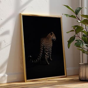 May include: A black and white photograph of a leopard standing in a dark room. The leopard is facing away from the camera and its tail is curled around its body. The photograph is framed in a gold frame.